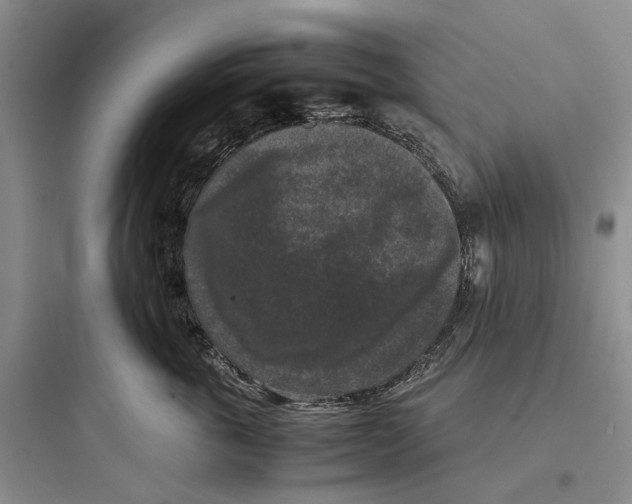 X0000097660763200803211919