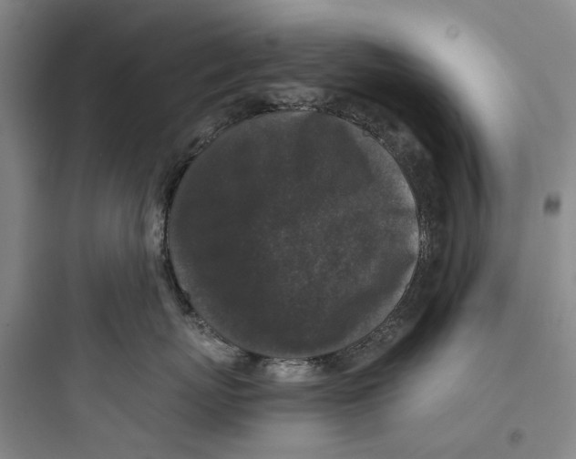 X0000097660767200803211919