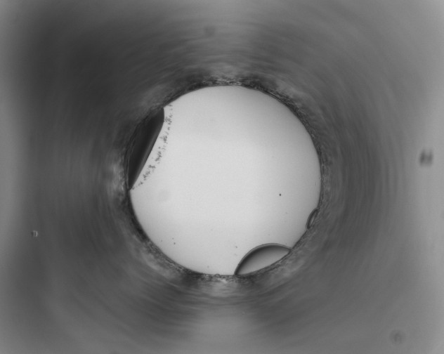 X0000097660768200803211919