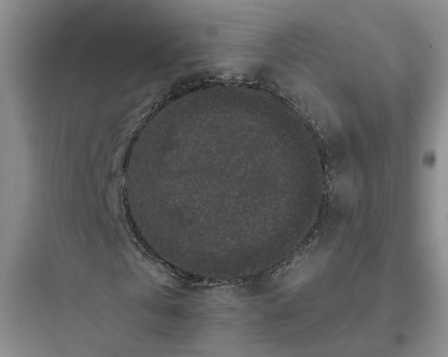 X0000097660769200803211919
