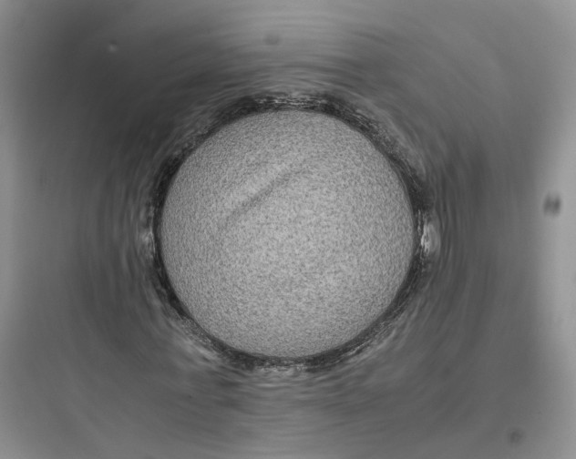 X0000097660771200803211919