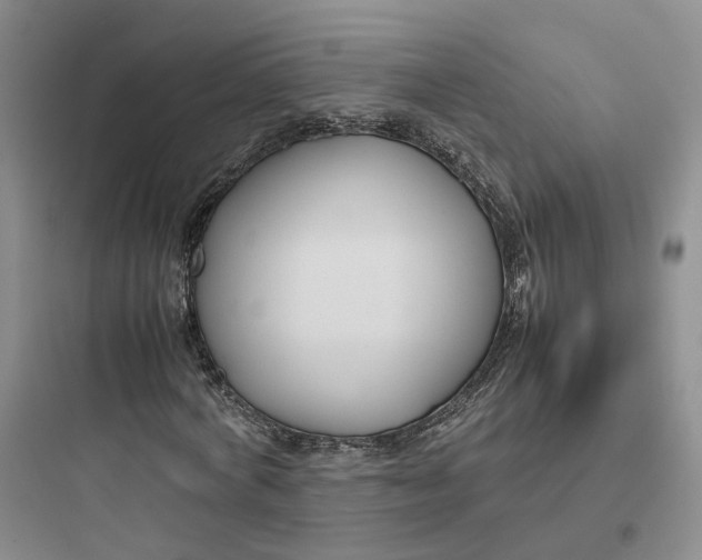X0000097660772200803211919
