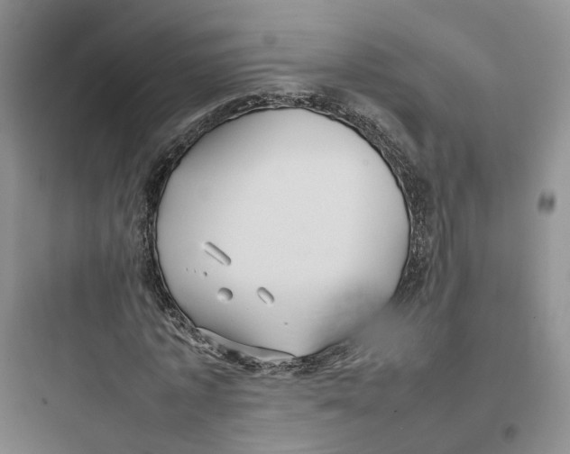 X0000097660773200803211918