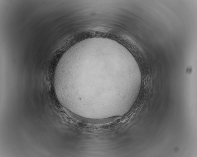 X0000097660774200803211918
