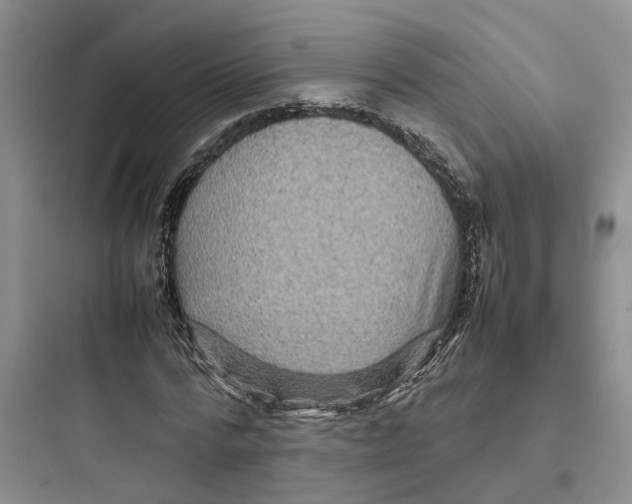 X0000097660776200803211918