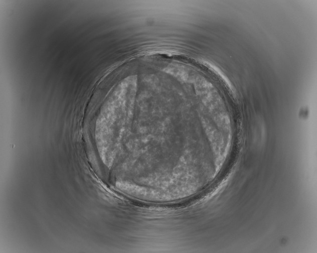 X0000097660777200803211918