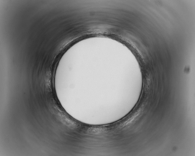 X0000097660778200803211918