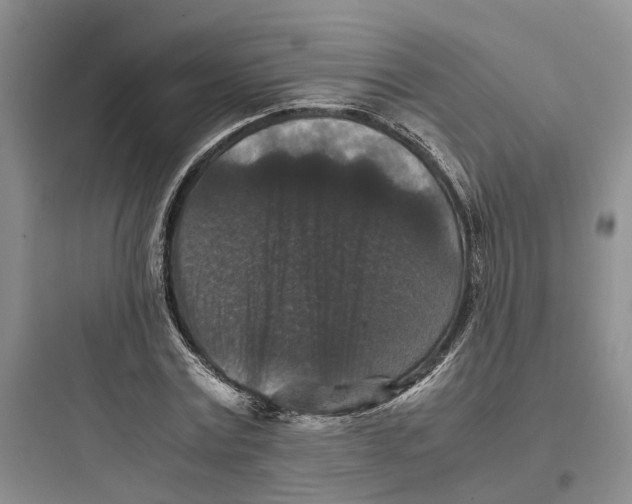 X0000097660779200803211918