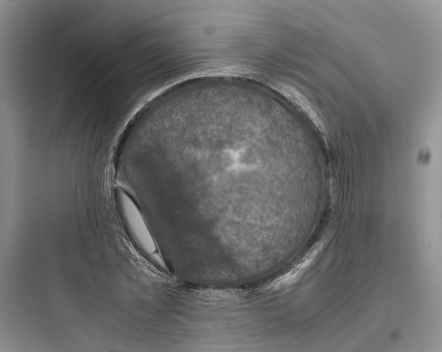 X0000097660781200803211918
