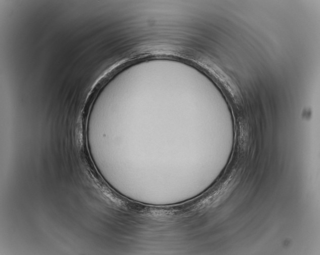 X0000097660782200803211918