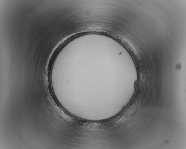 X0000097660784200803211918
