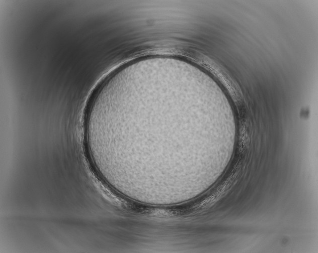 X0000097660787200803211918