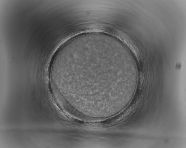X0000097660789200803211918