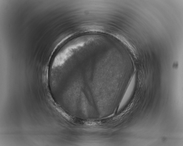 X0000097660790200803211918