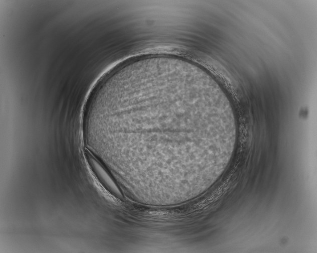 X0000097660792200803211918