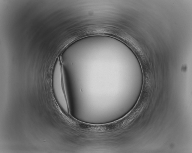 X0000097660793200803211918