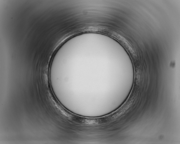 X0000097660794200803211918