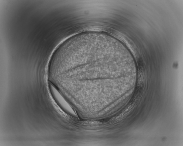 X0000097660795200803211918