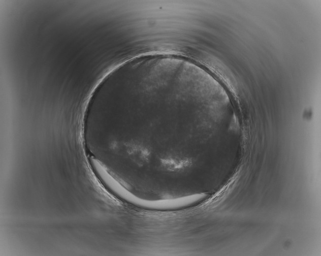 X0000097660797200803211918