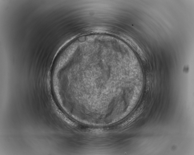 X0000097660798200803211918