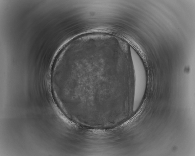 X0000097660800200803211918