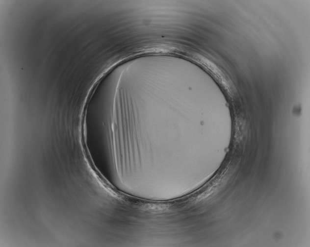 X0000097660802200803211918