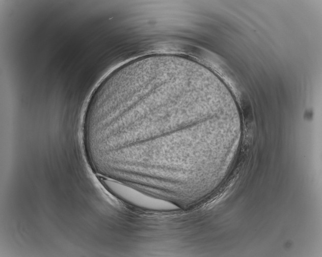 X0000097660803200803211918