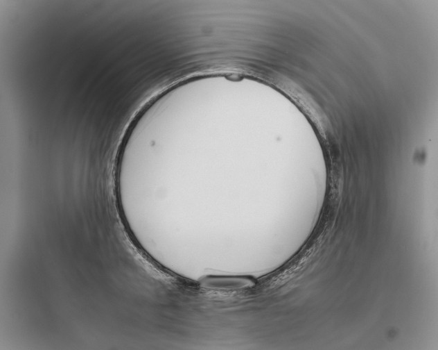 X0000097660805200803211918