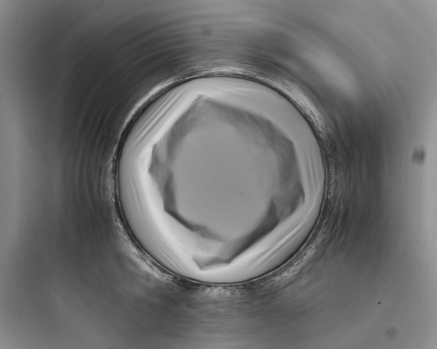 X0000097660806200803211918