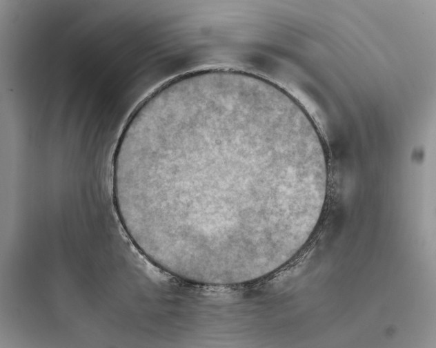 X0000097660807200803211918