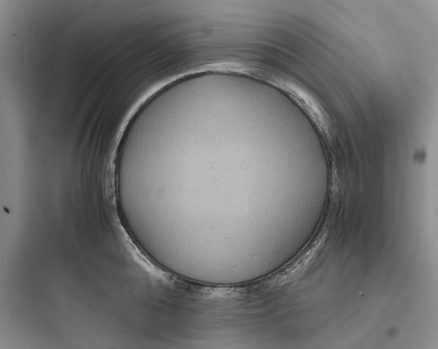 X0000097660808200803211918