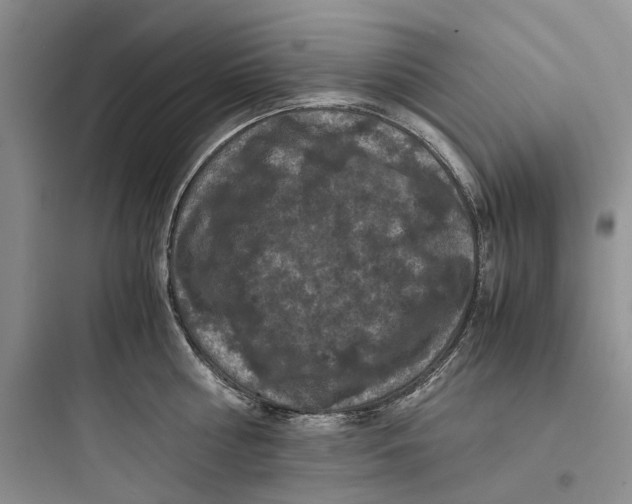 X0000097660810200803211918