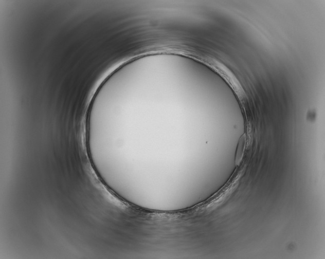 X0000097660812200803211918