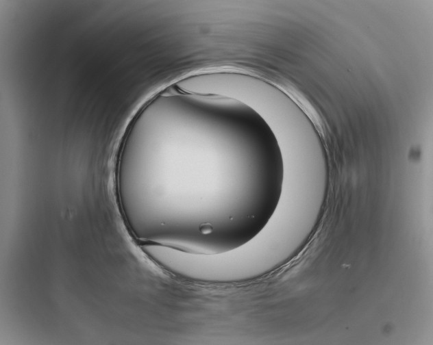 X0000097660813200803211918