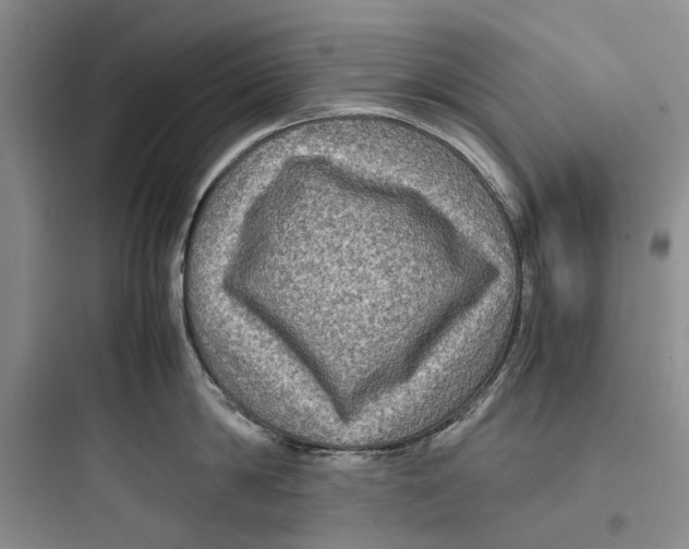 X0000097660814200803211918