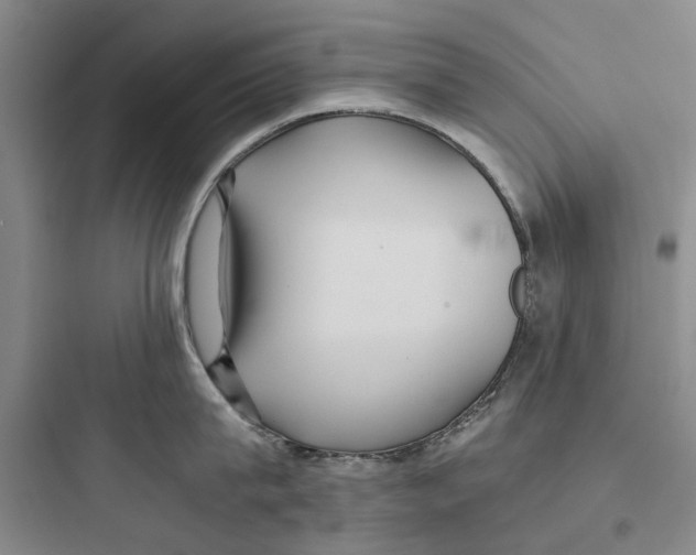 X0000097660815200803211918