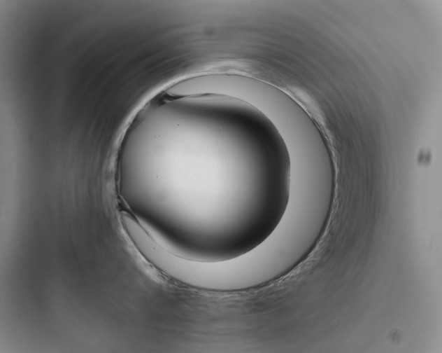 X0000097660816200803211918