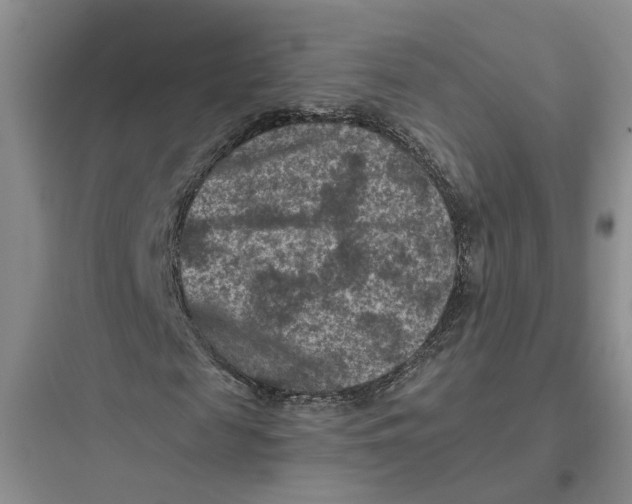 X0000097660817200803211917