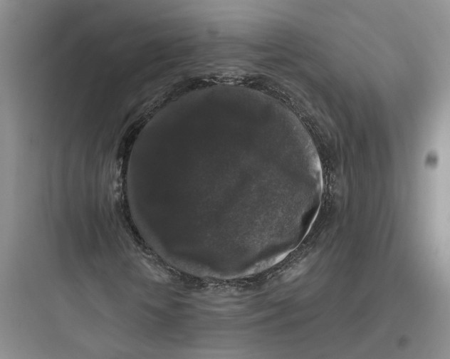 X0000097660818200803211917