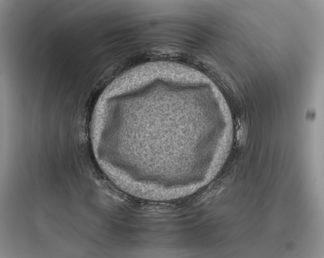X0000097660819200803211917