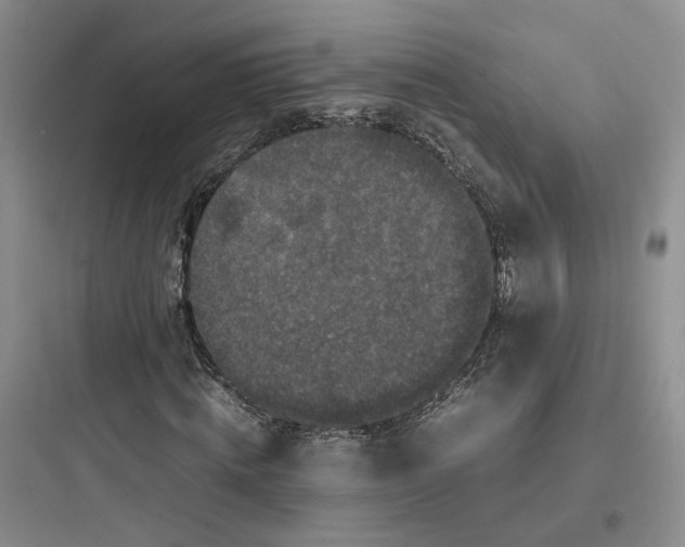 X0000097660820200803211917