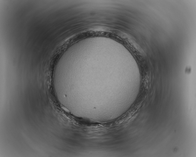 X0000097660821200803211917