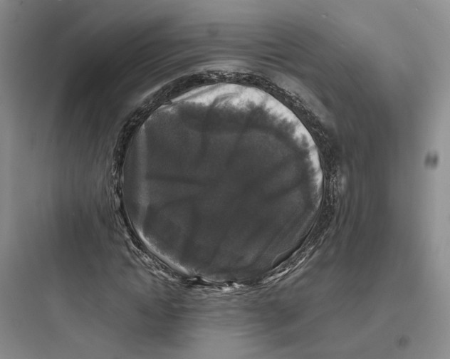 X0000097660822200803211917