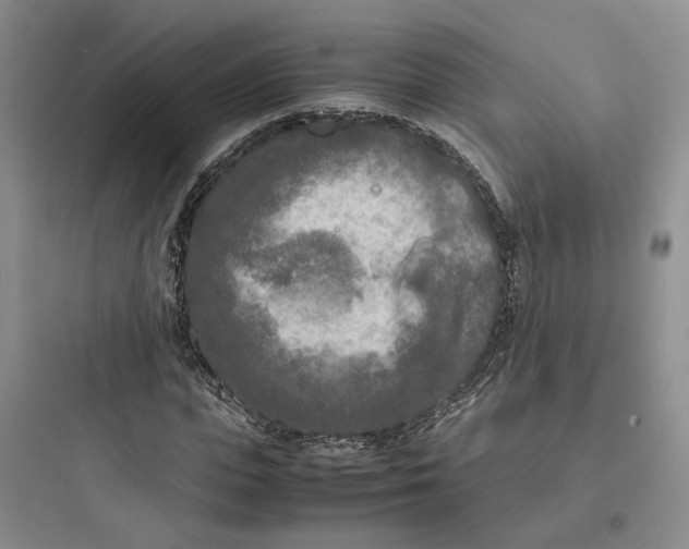 X0000097660823200803211917