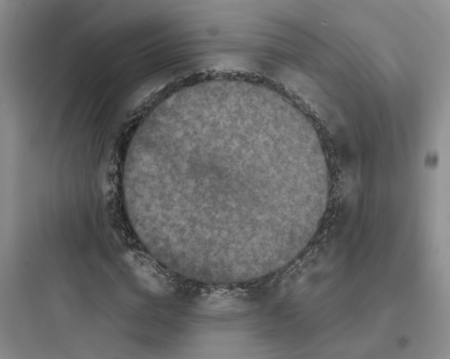 X0000097660824200803211917