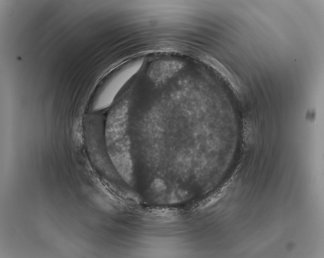 X0000097660826200803211917