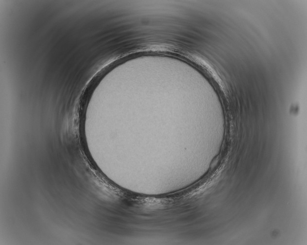 X0000097660827200803211917