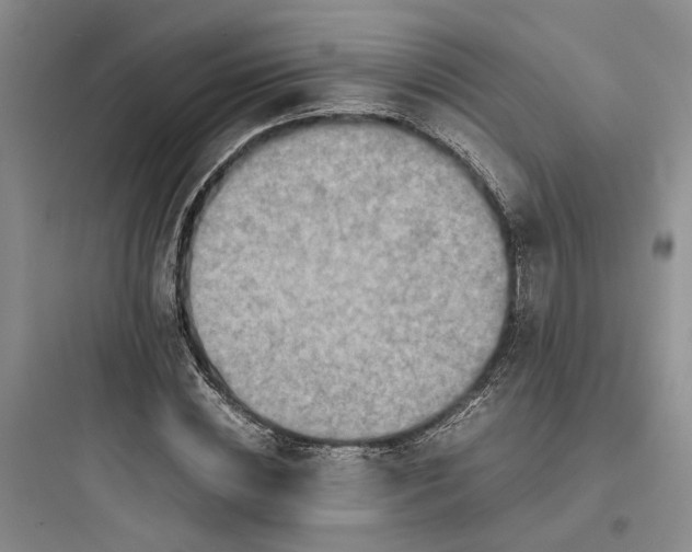 X0000097660828200803211917