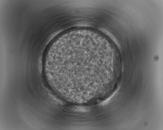 X0000097660829200803211917