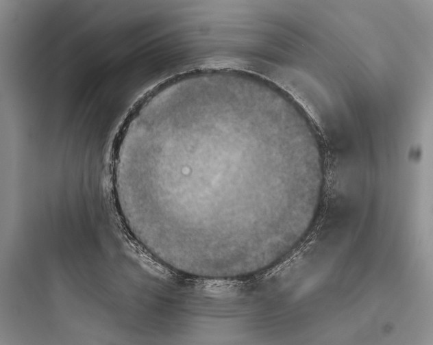 X0000097660832200803211917